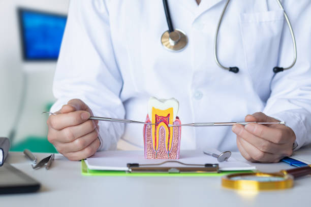 Best Dentist for Tooth Abscess  in Evart, MI